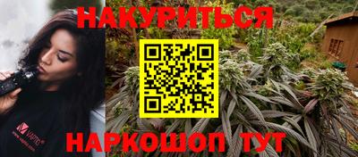 сатива Коммунар